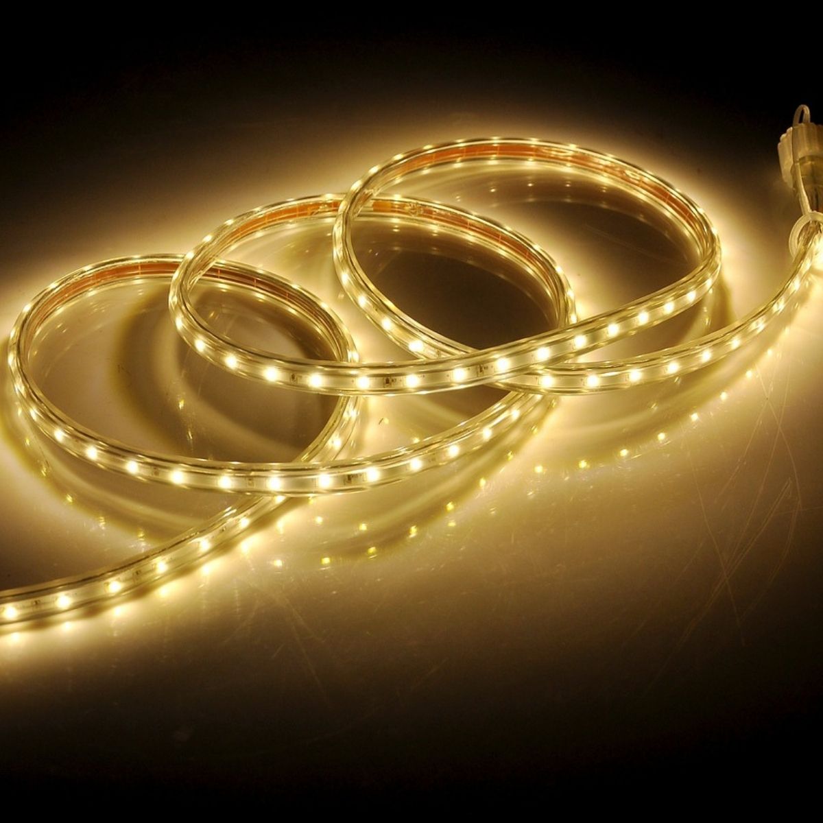 Cove / Neon Strip Light / Rope Light